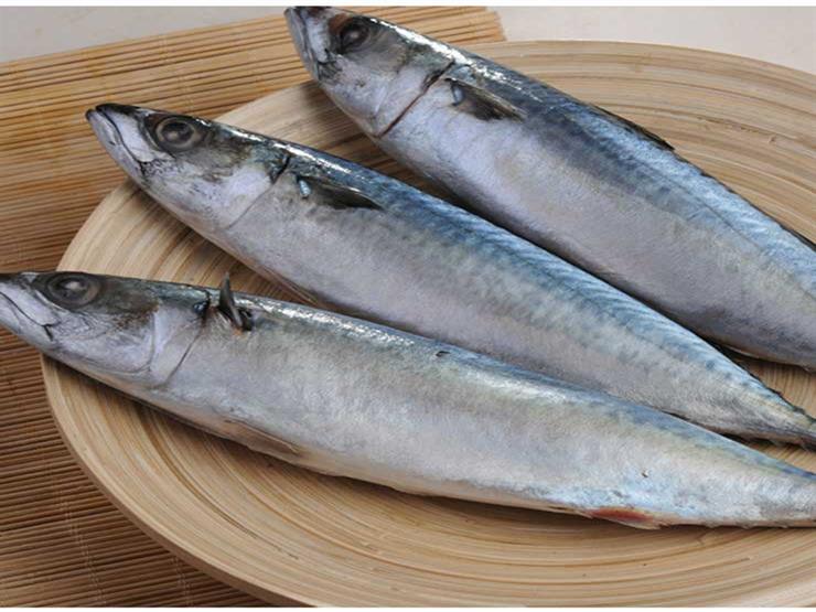 تقرير شامل عن الماكريل المجمد في منافذ تابعة للجمعيات الاهلية اليوم 2026-01-25